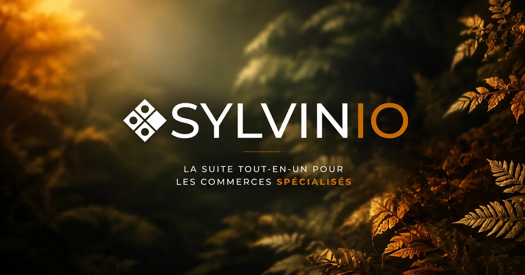 Illustration de l'article « Sylvinio, la suite tout-en-un pour les commerces spécialisés »